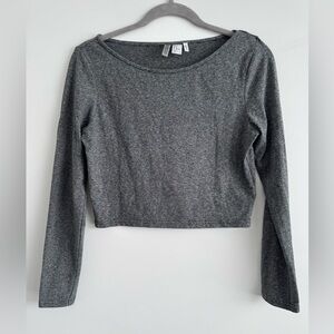 H&M Gray Long-Sleeve Cropped Top